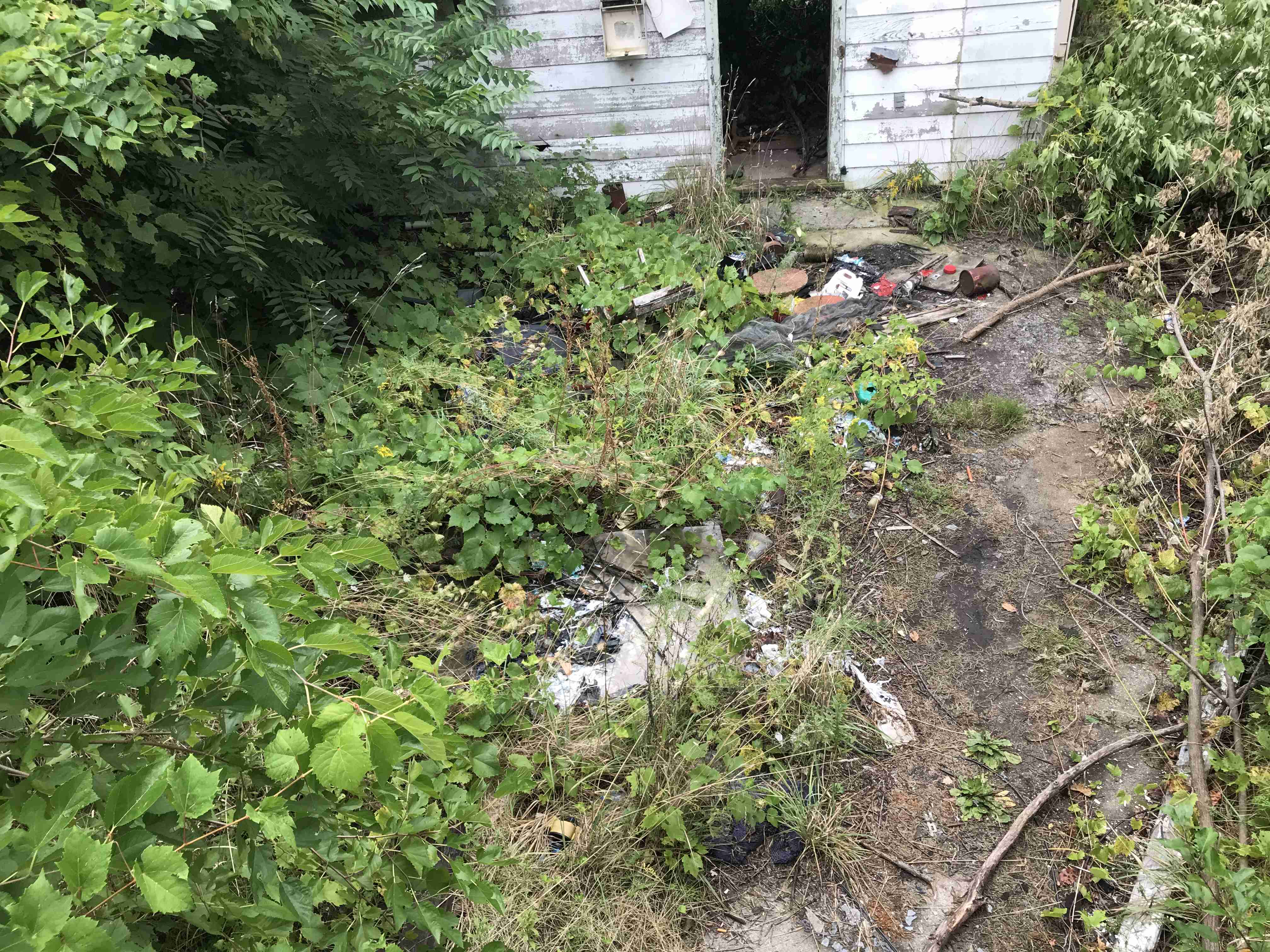 Photo Sep 09, 11 14 09 AM.jpg